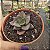 Suculenta Echeveria Hibrida Morani x Chichiensis - Imagem 4