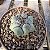 Cacto Thelocactus Hexaedrophorus - Imagem 2