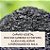 KIT SUBSTRATO ORQUIDEAS 6 LITROS (PINUS, CARVÃO E COCO) - Imagem 9