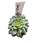 Planta Suculenta Echeveria Sweet Flame - Imagem 1