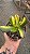 Planta Suculenta Retiwem Of Beauty (pt 11) Branco - Imagem 2