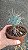 Planta Suculenta Opuntia Violacea Cactos de Santa Rita, Vaso 11cm - Imagem 3