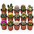 KIT 15 MINI CACTOS DIVERSOS - Imagem 1