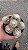 Cacto Mammilaria Gracillis cv. Texensis - Imagem 6