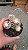 Cacto Mammilaria Gracillis cv. Texensis - Imagem 4