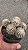 Cacto Mammilaria Gracillis cv. Texensis - Imagem 3
