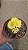 Suculenta TITANOPSIS CALCAREA - Imagem 2