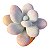 Suculenta Pedra da lua ou Pachyphytum Oviferum - Imagem 3