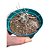 Planta Cacto TEPHROCACTUS PAPYRACANTHUS - Imagem 1