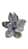 Suculenta Echeveria Decora - Imagem 1