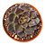 Suculenta Echeveria Super Bowl - Imagem 1