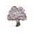 Kit Suculentas Hibridas Gigantes  3 GIBBIFLORAS - Imagem 2