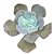 Kit Suculentas Hibridas Gigantes  3 GIBBIFLORAS - Imagem 4