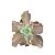 Planta Suculenta Gibiflora BG56 - Imagem 1