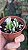 Suculenta Orelha de shrek Variegata (pequeno) - Imagem 6