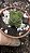 Planta Suculenta Crassula Templo de Buda pote 7 (pequena) - Imagem 4