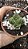 Planta Suculenta Crassula Templo de Buda pote 7 (pequena) - Imagem 3