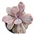 Planta Suculenta Echeveria Angel Wings"coleção" - Imagem 1