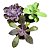 Kit Suculentas Hibridas Gigantes  3 GIBBIFLORAS - Imagem 1