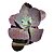 Kit Suculentas Hibridas Gigantes  3 GIBBIFLORAS - Imagem 2
