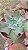 Planta Suculenta Gibiflora BG86 - Imagem 2