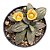 ALOINOPSIS RUBROLINEATA PT 09(caudex)(pequena) - Imagem 1