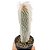Cacto Espostoa Hylaea pt 14 cm (+12 cm) - Imagem 1
