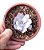 SUCULENTA ECHEVERIA CANTE - Imagem 1