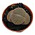 Pedra Viva- Lithops pote 7 - Imagem 1