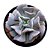Suculenta Echeveria Cubic Frost - Imagem 1