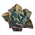Kit Suculentas Hibridas Gigantes  (3 GIBBIFLORAS) - Imagem 7