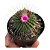 Planta Cacto Mammillaria Picus pt9 - Imagem 1
