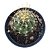Muda Cactos Hamatocactus Sinuosus/espinho anzol - Imagem 1
