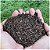 Palha de arroz carbonizada 5 litros/ 600 gramas (em media) - Imagem 2