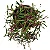 Planta Suculenta Pendente Colar De Ruby - Imagem 1