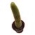 Cacto Rabo de gato (Cleistocactus Winte) pote 6 - Imagem 1