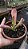 Suculenta Echeveria Oricula "Coleções" - Imagem 2