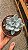 Planta Suculenta Echeveria Powder Puff - Imagem 2