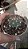 Cacto Melocactus Azureus - Imagem 3