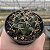 Cacto THELOCACTUS RINCONENSIS PT 09 - Imagem 3