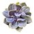 Planta Suculenta Echeveria Trompette ou Red 'Valkyrie' - Imagem 1