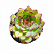 Planta Suculenta Echeveria Flamengo - Imagem 1
