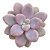 Suculenta Graptopetalum Ellen pt 9cm - Imagem 1