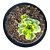 Planta Suculenta Orostachys Variegata pt 9 - Imagem 1