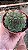 Suculenta Sempervivum Calcareum - Imagem 2