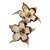 Edithcolea grandis v. somalia pt 11cm - Imagem 2