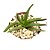Glottiphyttum Muirii pt 9 - Imagem 1