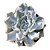 Echeveria Thriller Pearl (pequena) - Imagem 1