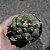 Cacto Astrophytum asterias cv. 'Kikko (importado) - Imagem 3