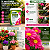 Forth Flores 400g Fertilizante Para Plantas e Floração - Imagem 2